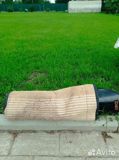 Дрессировка собак