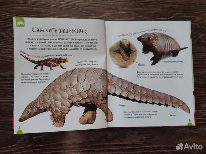 Детская развивающая книга новая