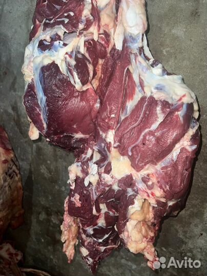 Мясо говядина мякоть