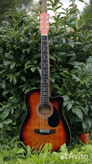 Гитара(с чехлом)