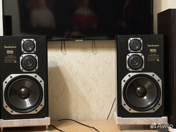 Колонки пассивные, Technics SB-CD500