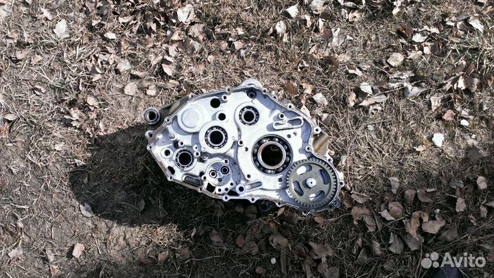 Запчасти для raptor 700