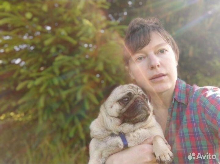 Продавец, администратор, преподаватель, журналист