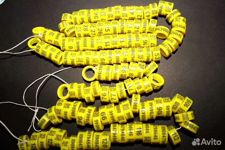 Кольцо на лапку голубя