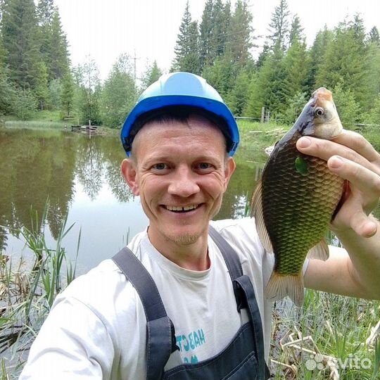 Оператор днг, оператор товарный