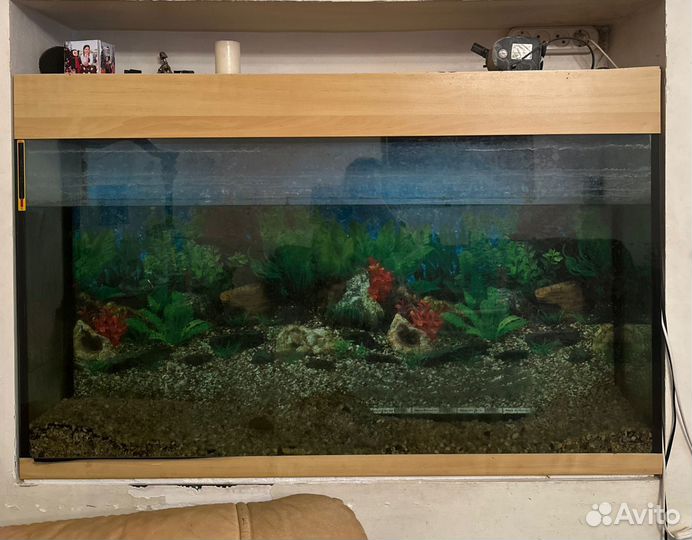 Аквариум