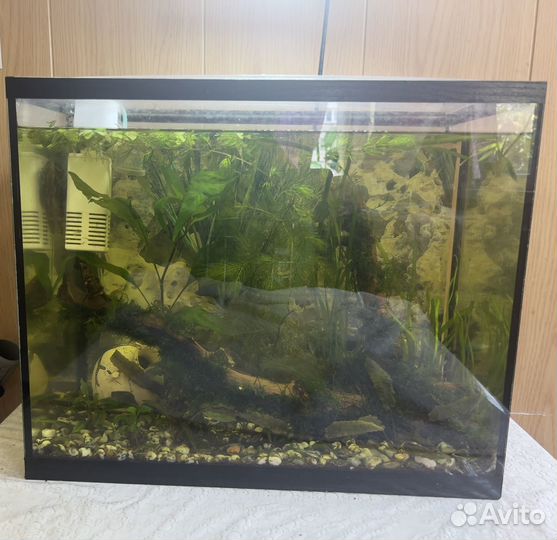 Аквариум