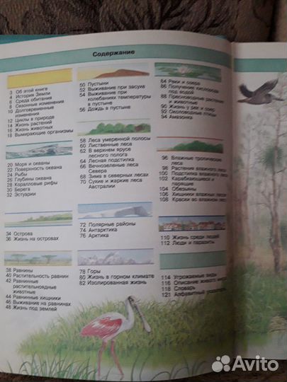 Детские энциклопедии 