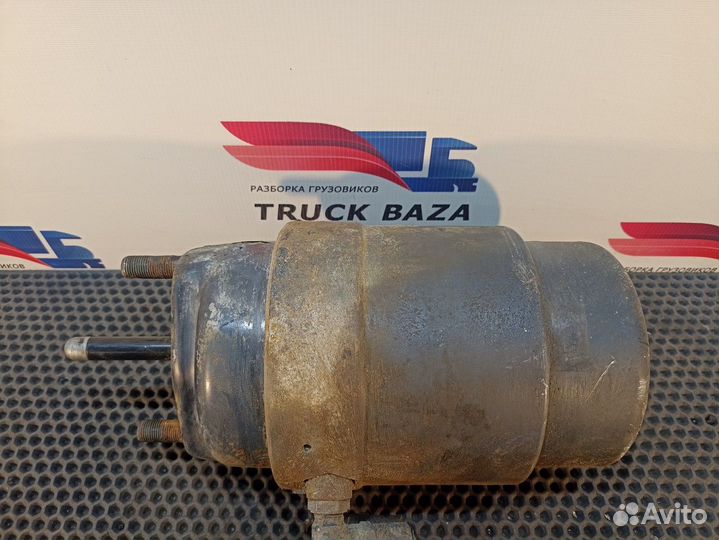 Энергоаккумулятор тормозной Iveco Stralis