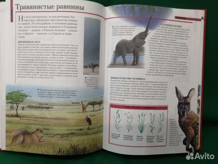 Школьная энциклопедия