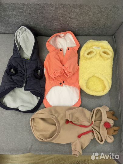 Одежда для собак