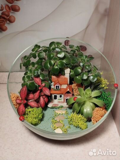 Флорариум на 1 сентября