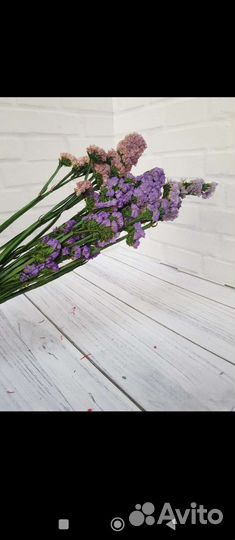 Статица стабилизированная