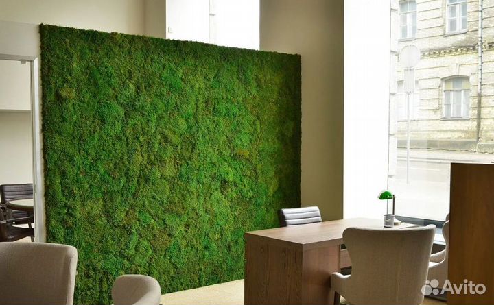 Панно из мха пластового
