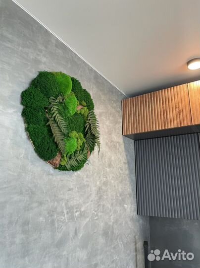 Картина из стабилизированного мха