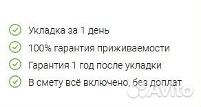 Газонная трава