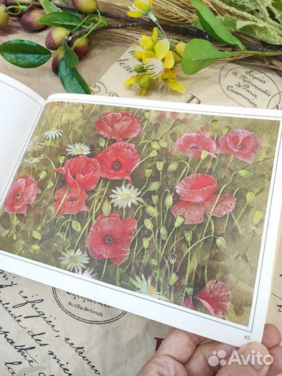 Книга Poems of the Seasons Gordon Beningfield