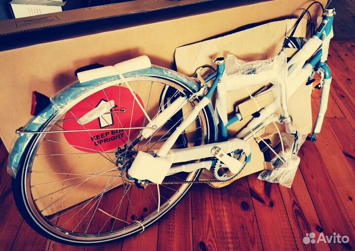 Linus Dutch 3 Marine