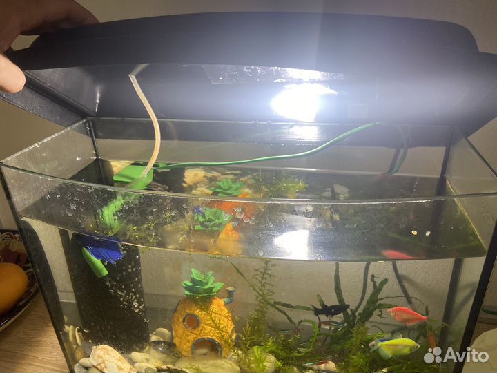 Аквариум 30 л