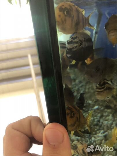 Аквариум с тумбой