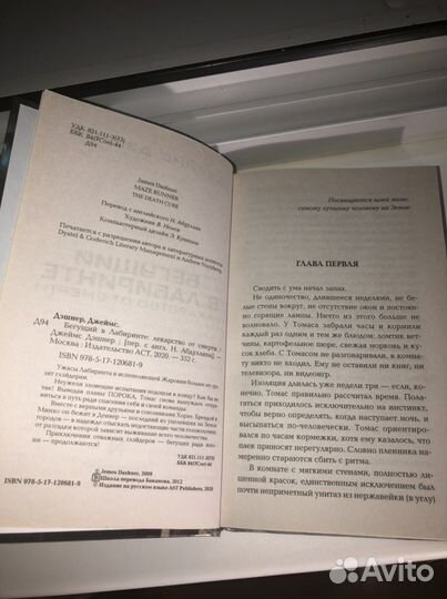 Бегущий в лабиринте (Джеймс Дэшнер)