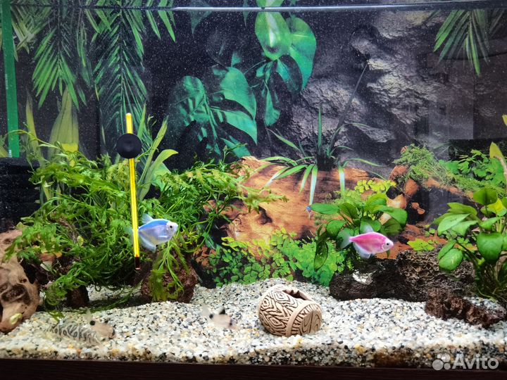 Аквариум 140 л