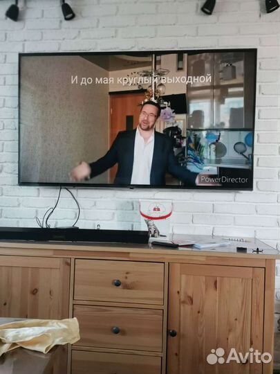 Ведущий. Певец. Музыкант