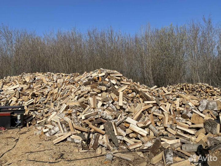 Дрова различных пород древесины