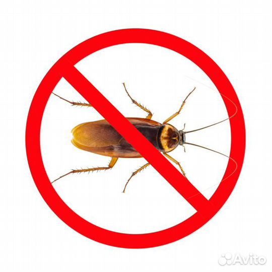 Сэс Уничтожение тараканов, крыс, клопов, насекомых