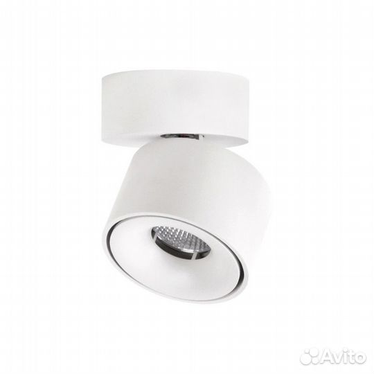 Спот Citilux CL558010N