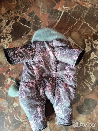 Одежда для собак