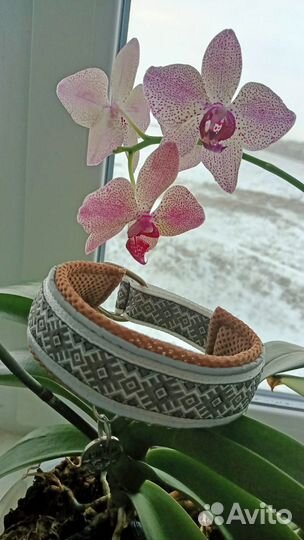 Ошейник для собак