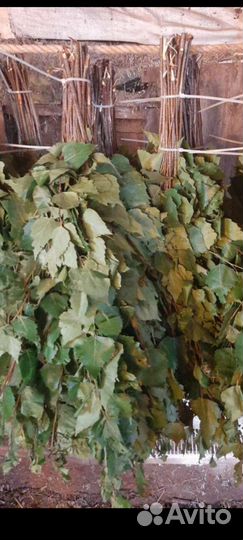 Березовые веники