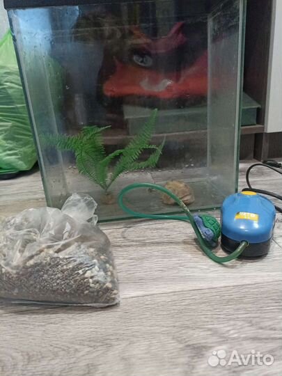 Аквариум 10 литров