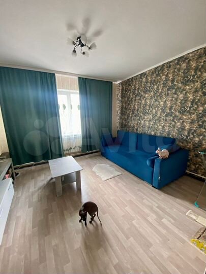 1-к. квартира, 38 м², 1/1 эт.