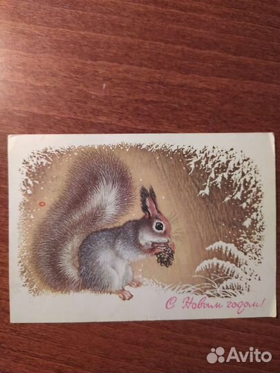 Открытка СССР, Исаков, 1977