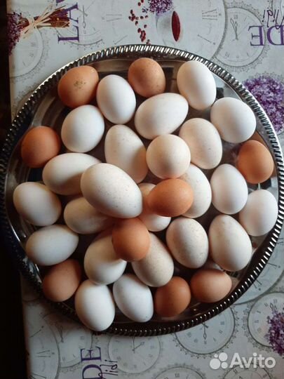Яйца куриные домашние диетические