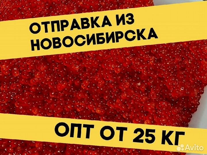 Красная икра кеты, улов 2023 года