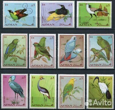 Фауна-часть 12