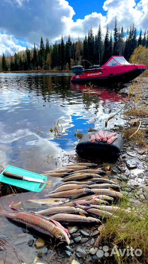 Рыболовный тур