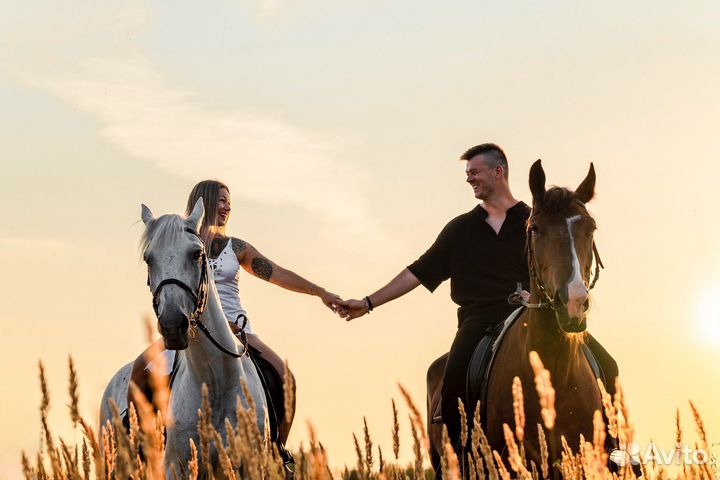 Фотосессия с лошадьми