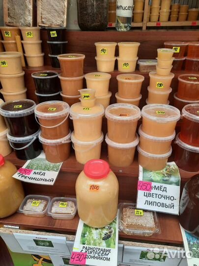 Мед Сурского края