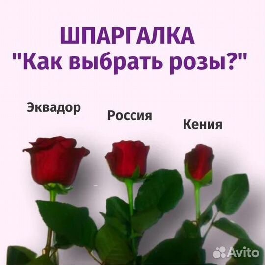 Розы 25 штук Эквадор 70 см