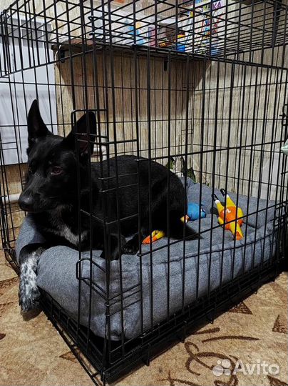 Клетка для собак и кошек №5, сделано в россии