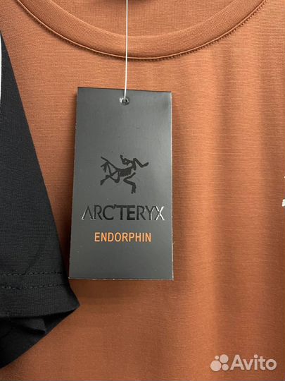 Футболка Arcteryx