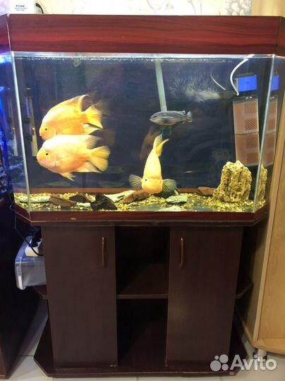 Аквариум с тумбой