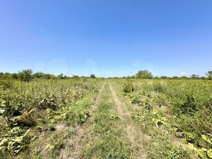 Участок 30 сот. (СНТ, ДНП)