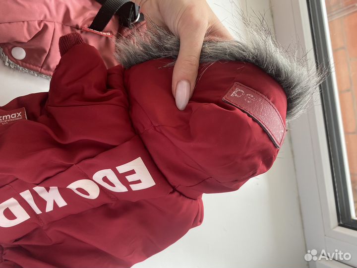 Одежда для собак