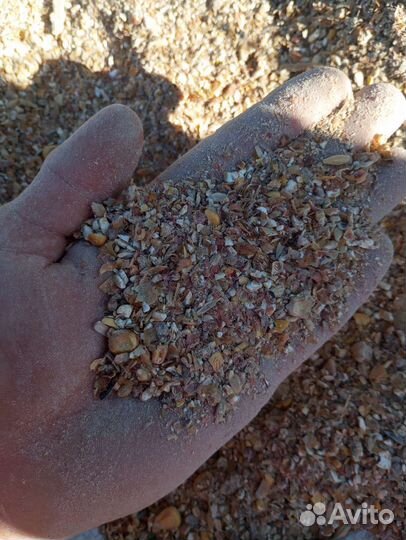 Зерноотход кукурузы