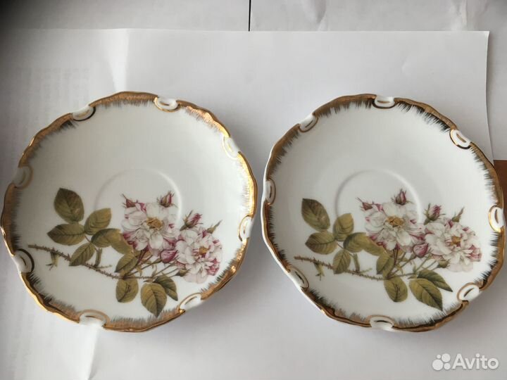 Кофейная параRoyal Porcelain Collection Briswild